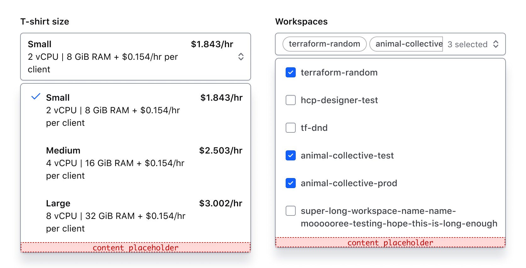Showing the afterOptions slot with generic content